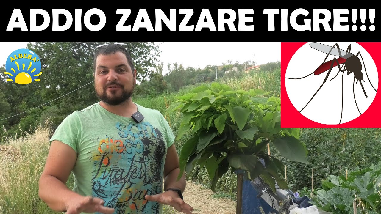 RIMEDI NATURALI CONTRO ZANZARE🦟🦟🦟 E ZANZARE TIGRE🦟🦟🦟, (COSA MI SONO FATTO SPEDIRE DI COSI EFFICACE?)