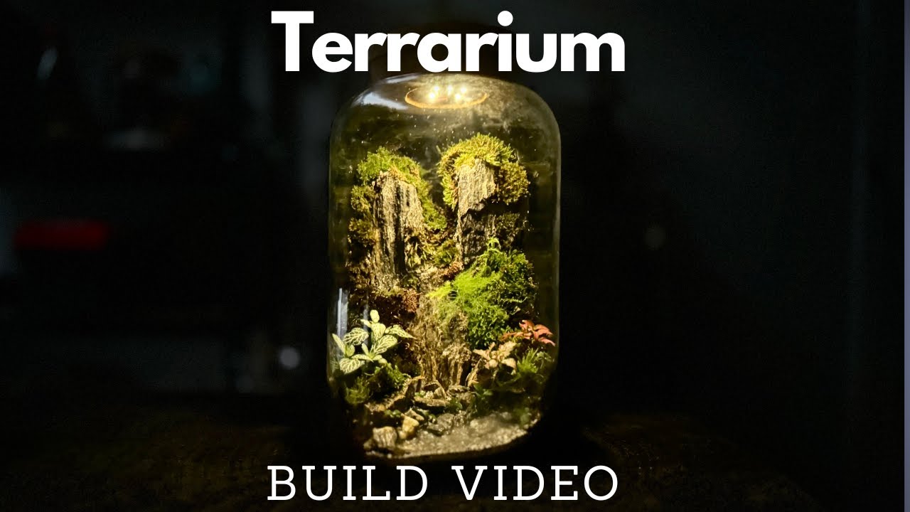 Cliffs in a Jar - Terrarium Build Video