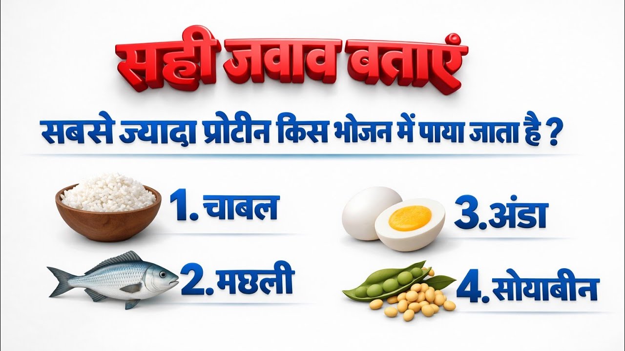 📚 खानपान से जुड़े सवाल – कितनी है आपकी जानकारी ?
