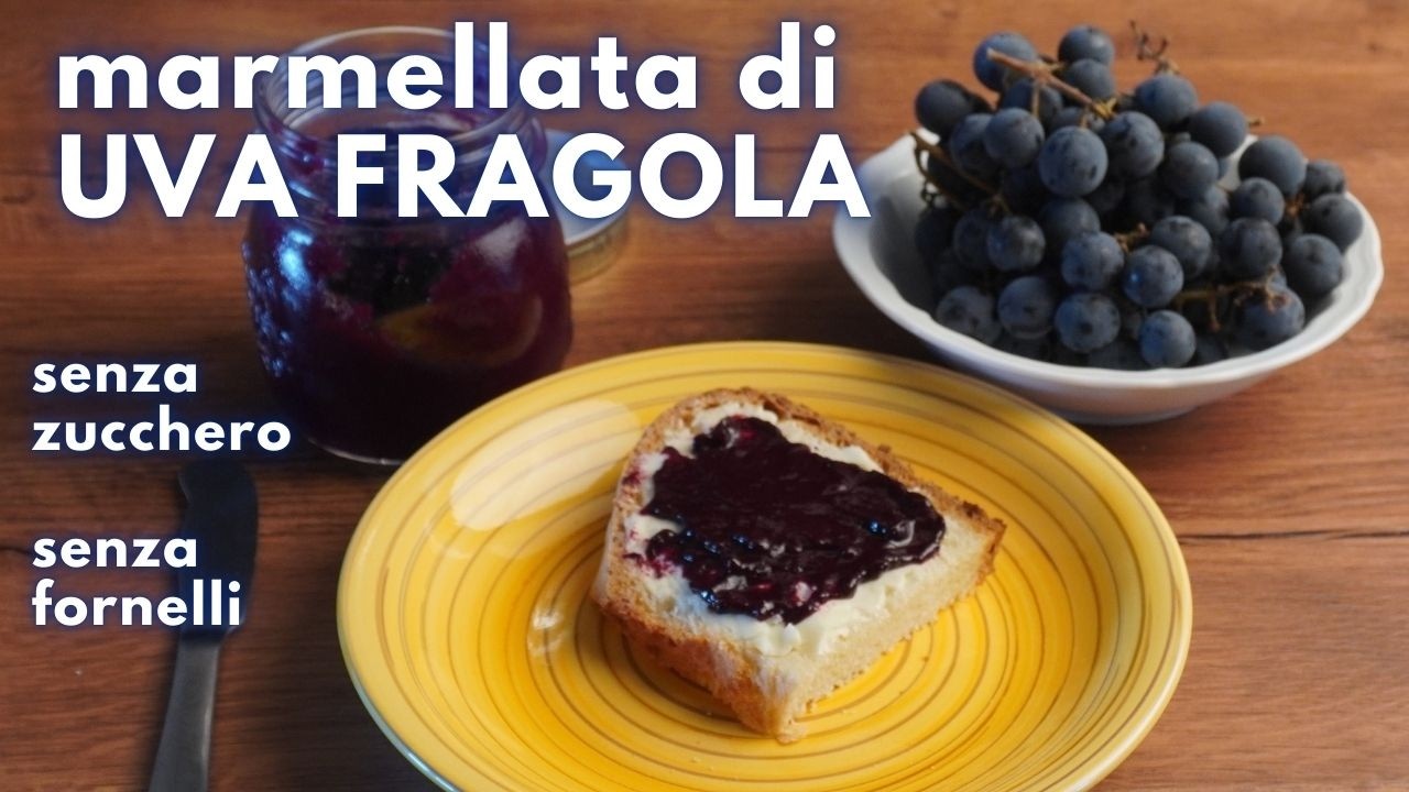 Marmellata di uva fragola senza zucchero&hellip; e senza scaldare la cucina!
