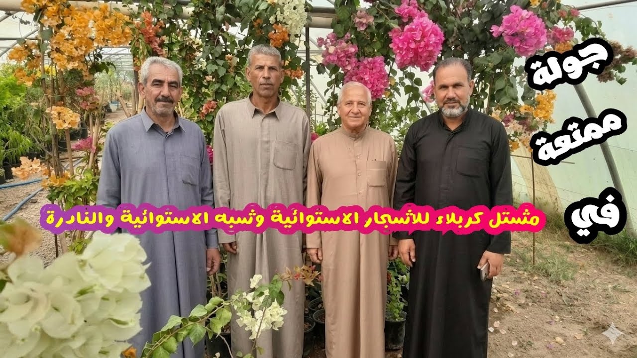 جولة في واحد من اهم المشاتل المتخصصة بالنباتات الاستوائية وشبه الاستوائية والنادرة/كربلاء-العراق 🇮🇶