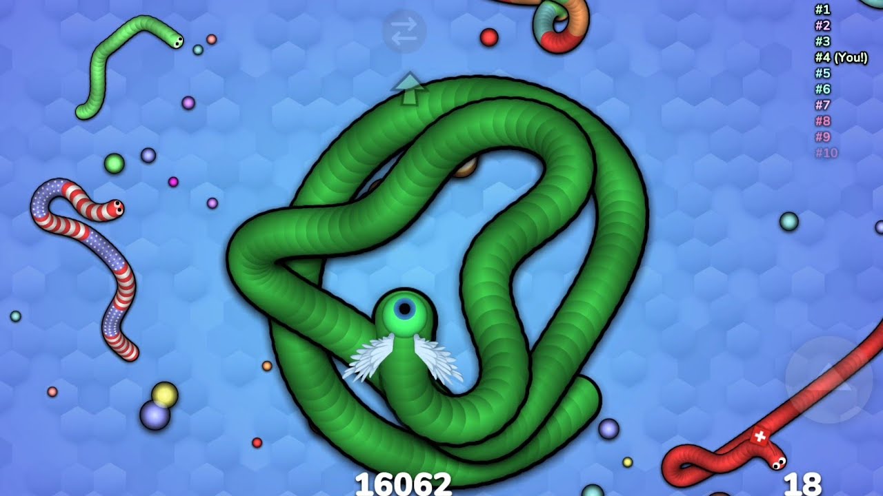 🎻🐍 Hunter or Prey with Mozart Playing? | Snake Live 🔴