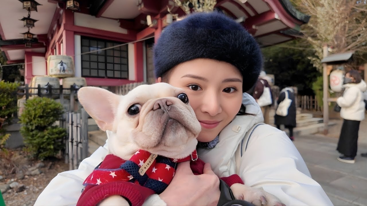 【一人暮らし】独身アラサー女が犬1匹と過ごすお正月【2026年】