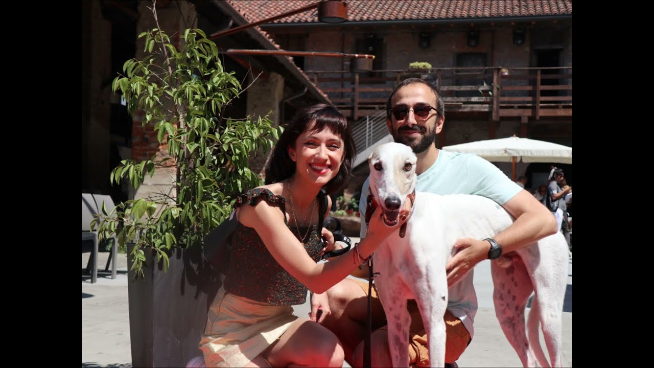 Arrivo greyhound del 24 giugno 2023