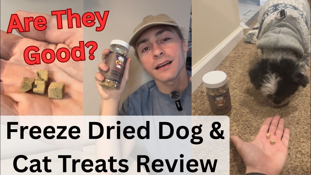 Freeze Dried Dog & Cat Treats by Chef Kitty (Link in Description)