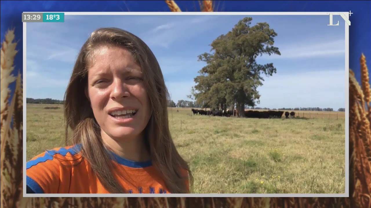 Un día en la vida de Lara Giuliani, ingeniera agrónoma que se fue a vivir al campo que trabaja