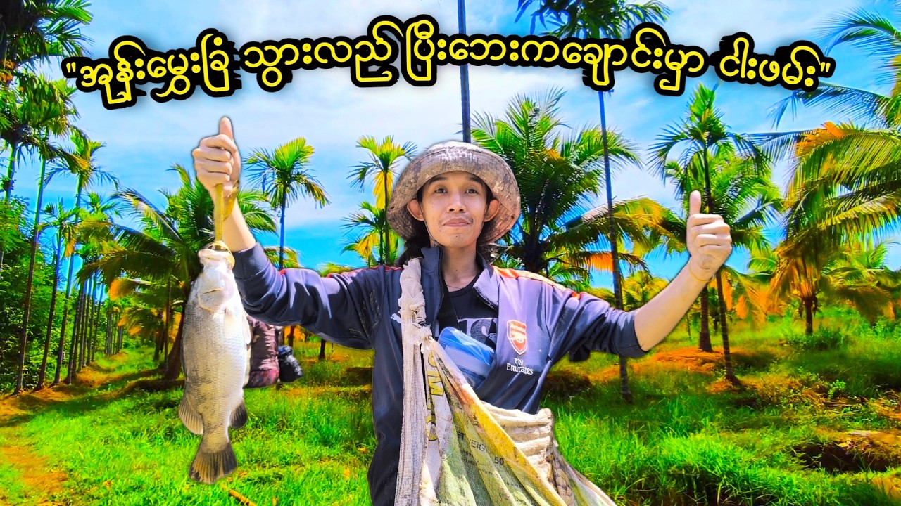  ဓနိသီးခြံ ၊အုန်းမွှေးခြံ ထဲသွားပြီး  ငါး၊ ပုဇွန်ထုပ် ဖမ်းကြမည် |  Catching Lobsters and fishes 