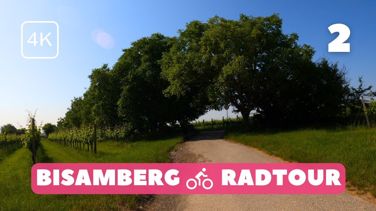Verborgener Trail! Vom Bisamberg hinunter nach Stammersdorf