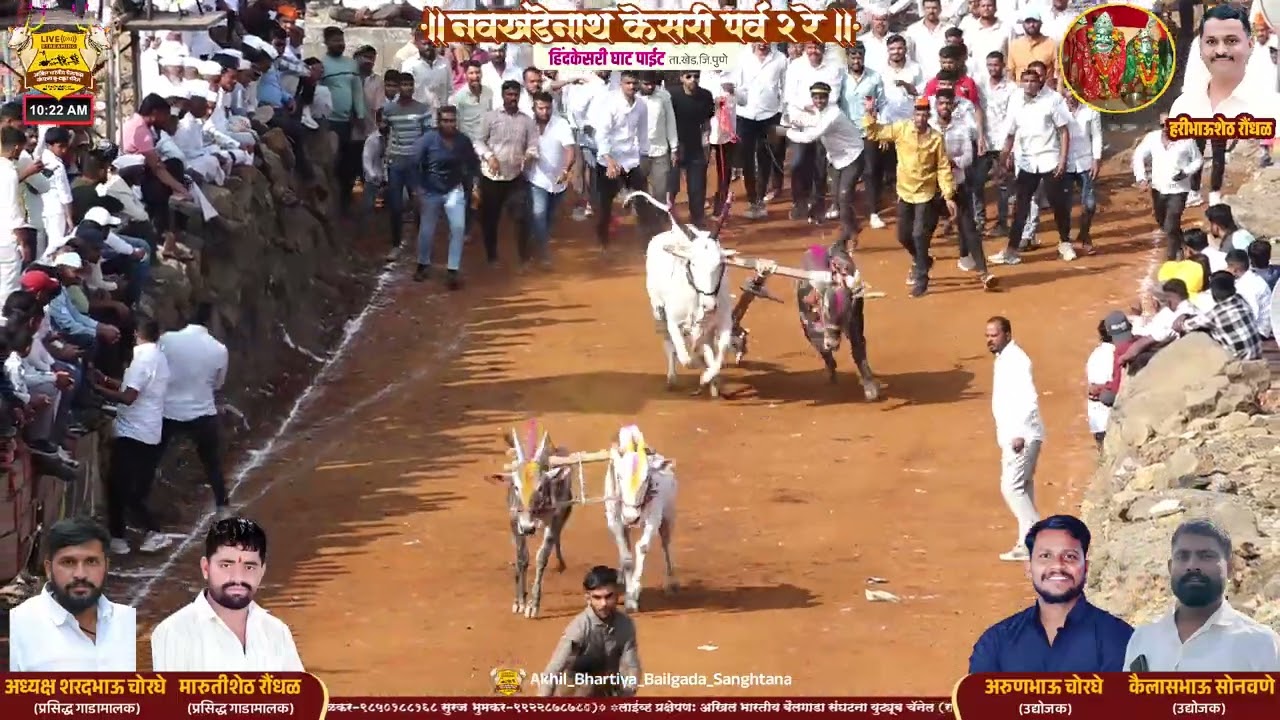 नवखंडेनाथ केसरी पाईट २०२६ प्रदीपदादा कंद-रामदासशेठ शंकर नाईकडे ११.९९ मिली