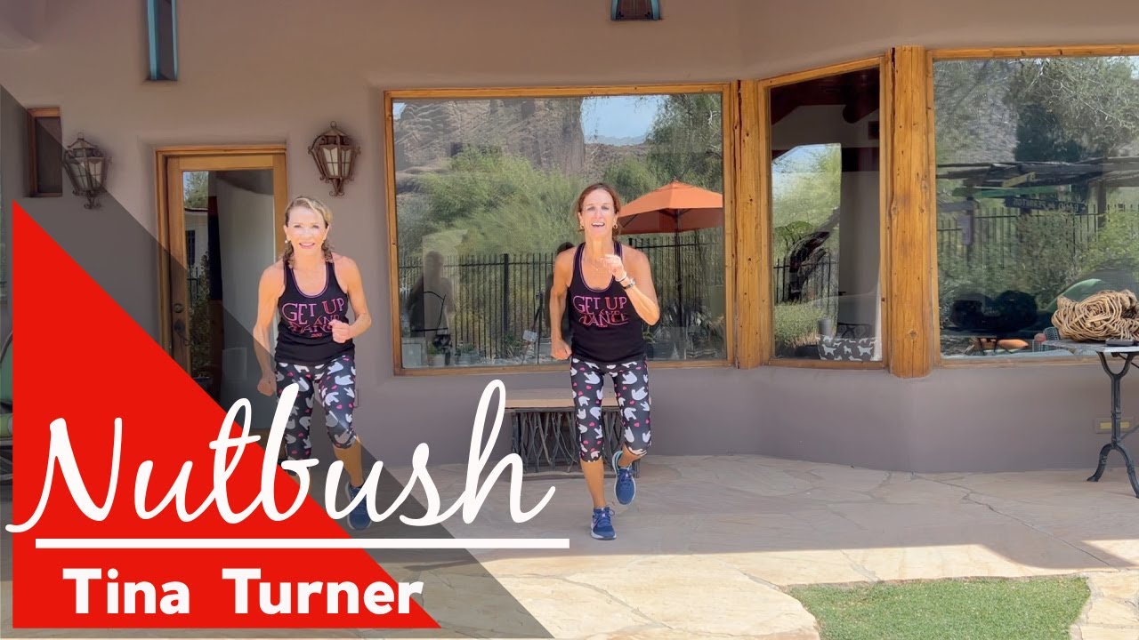 NUTBUSH CITY LIMITS - TINA TURNER - Fired Up Dance Fitness