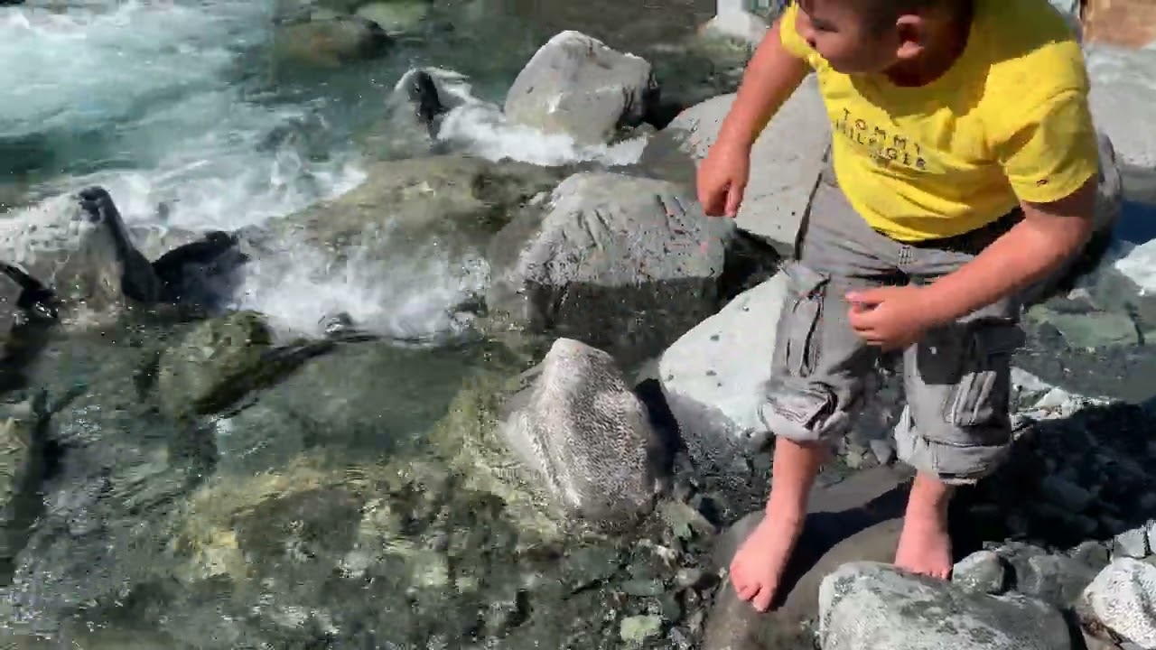 Rock Throwing…Falls Creek Milford Sound 