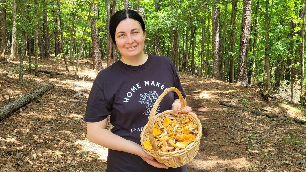 БОЛЬШОЙ УЧАСТОК В ЮЖНОЙ КАРОЛИНЕ. В Гостях у BidunFamily #влог #bidunfamily #жизнь