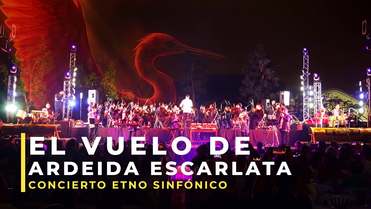 La promesa del último vuelo | El vuelo de Ardeida Escarlata – Schuberth Ganchozo