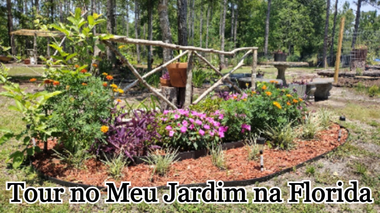Tour no Meu Jardim Florido#jardinagem #garden #jardim #plantas #paisagismo