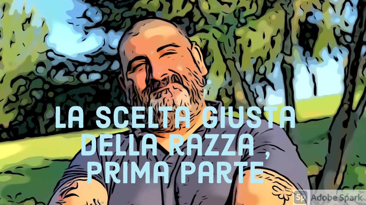 La scelta giusta della razza (1 parte)