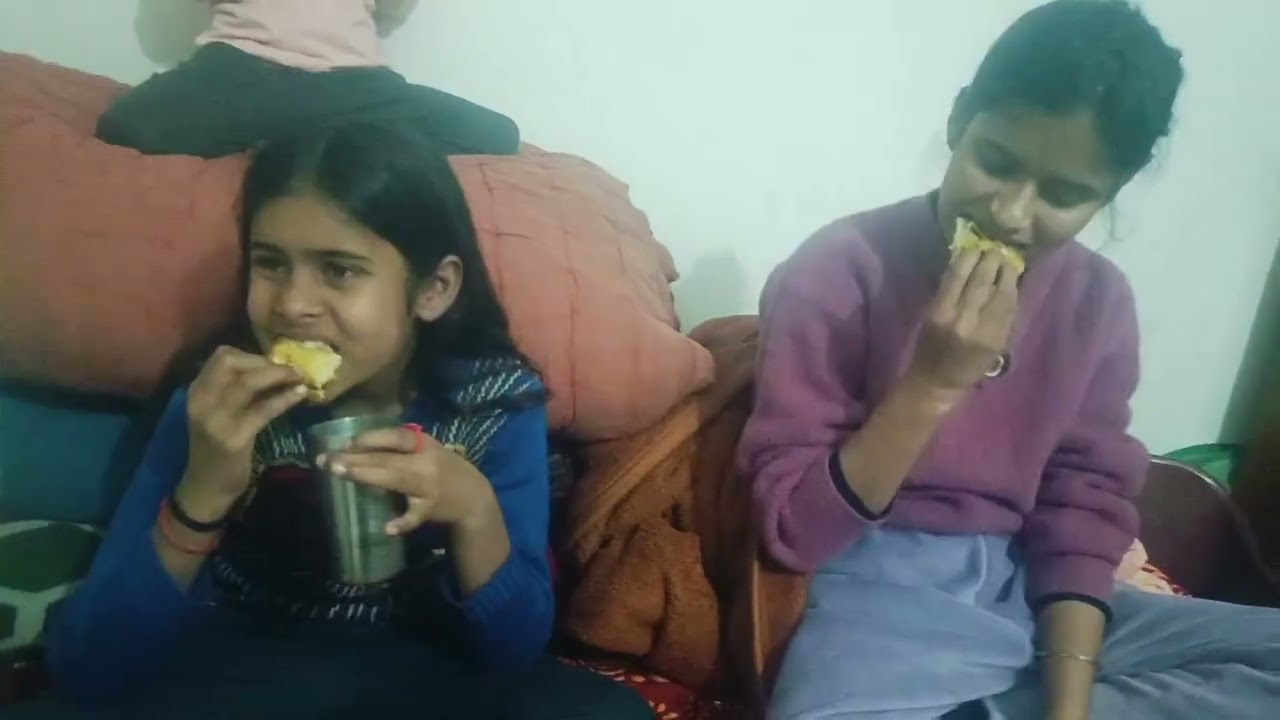गुड आफ्टरनून दोस्तों😊😊#sushama official blogger#minivlog #minivlogshorts #funnyvideos #video