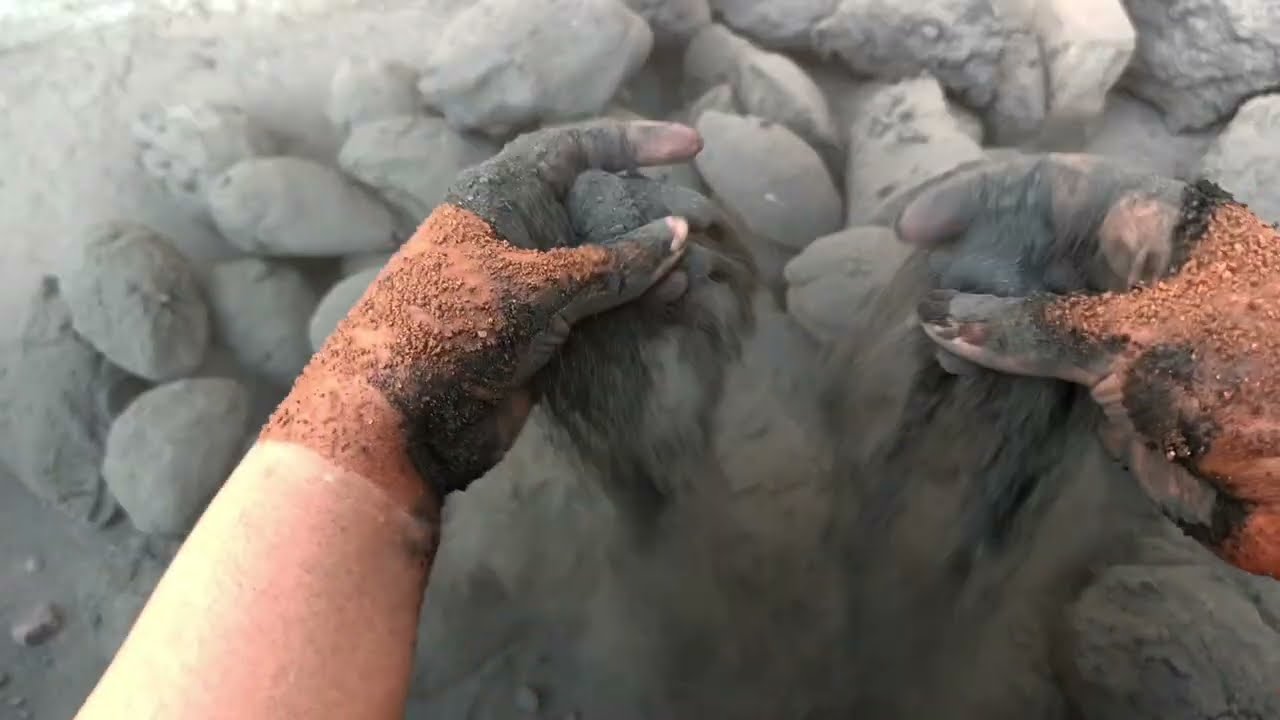 Super dusty soft snappy black dirt pottato shapes crumble dry+in water bucket 💯🤤