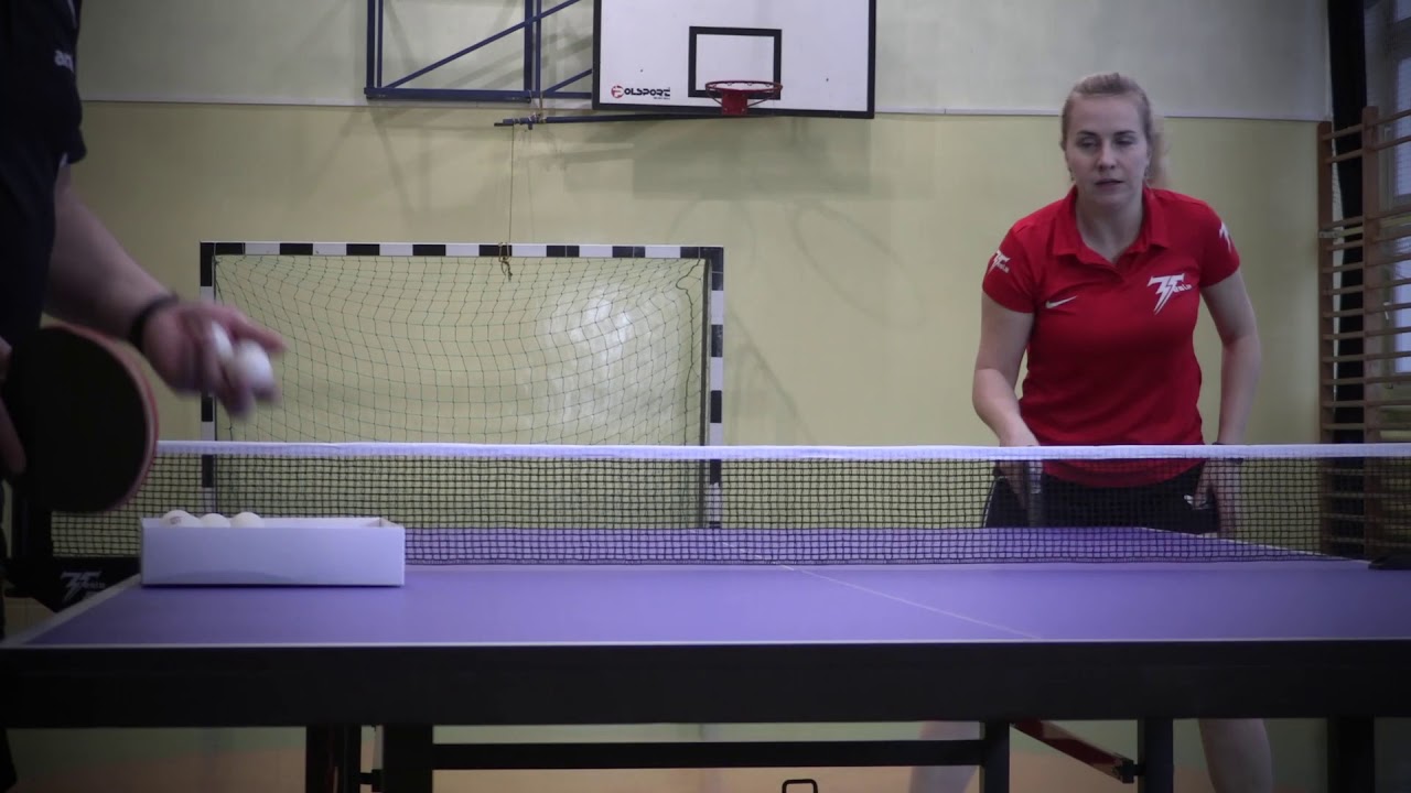 Tesla TT Table Tennis Table CLUB 1800