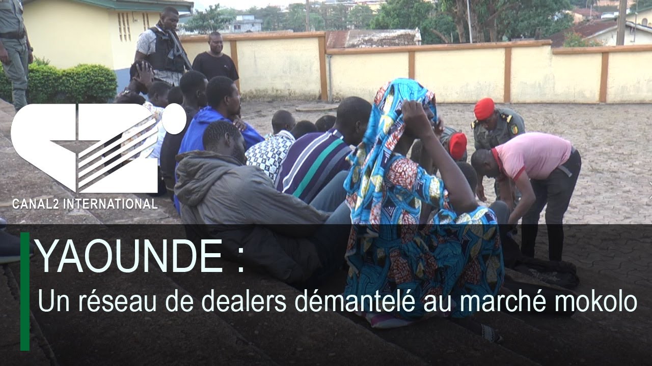 YAOUNDE : Un réseau de dealers démantelé au marché mokolo