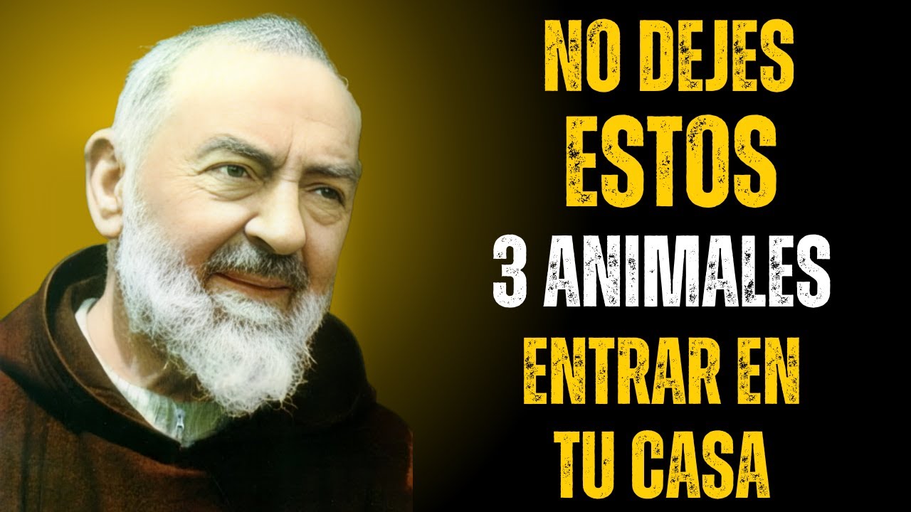PADRE PÍO REVELÓ: LOS 3 ANIMALES QUE EL CRISTIANO NUNCA DEBE DEJAR ENTRAR EN CASA —POCOS LO SABEN