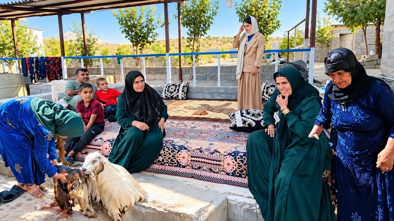 Fariba Helps Her Goat Give Birth! 🐐 Then She Goes to the City to Look at a Cattle Farm