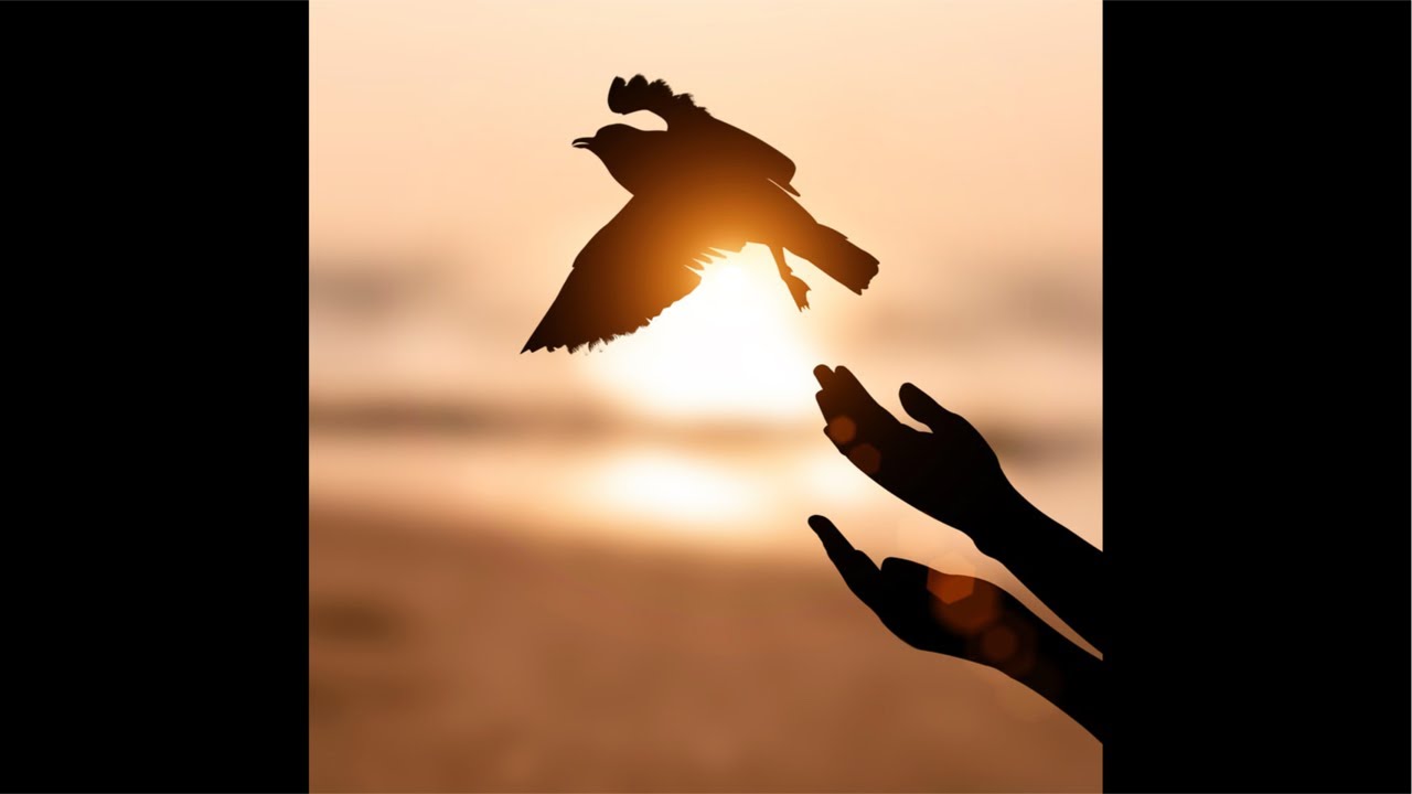 Praying for Peace: A Moment to Reflect Together