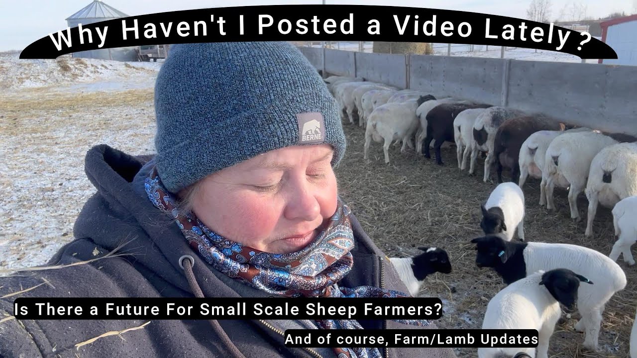 Is The Future Looking Bleak | Mental Health in Farming | And Of Course, Cute Lamb Updates! | vlog65