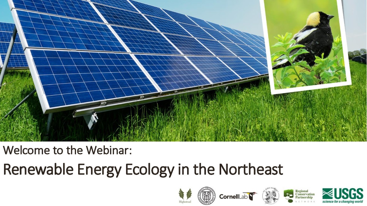 Renewable Energy Ecology in the Northeast Webinar, February 26, 2026