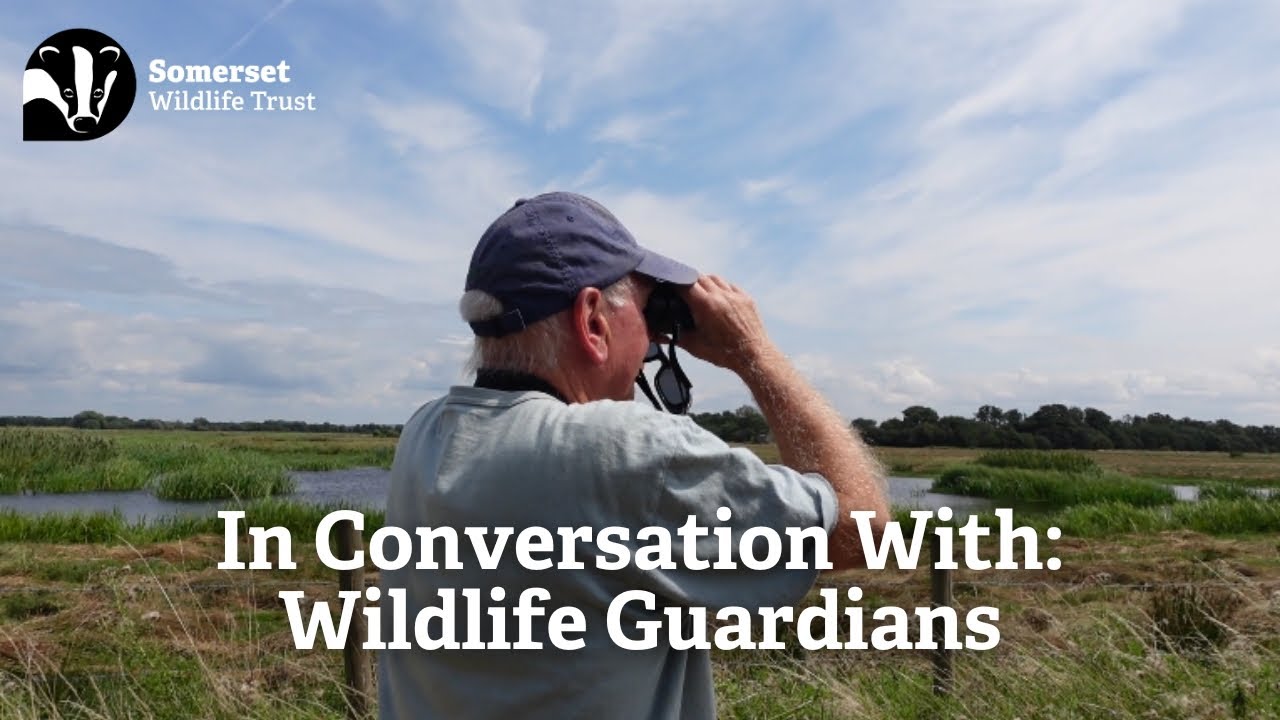 In Conversation With Wildlife Guardians