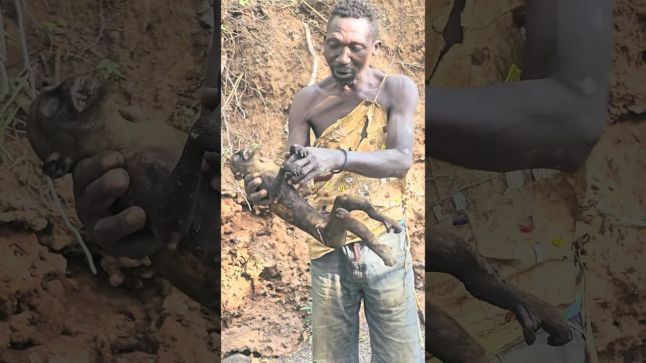 Amazing 😍 hunting and cooking Delicious Monkeys with Hadzabe tribe #tradition #bushcraft