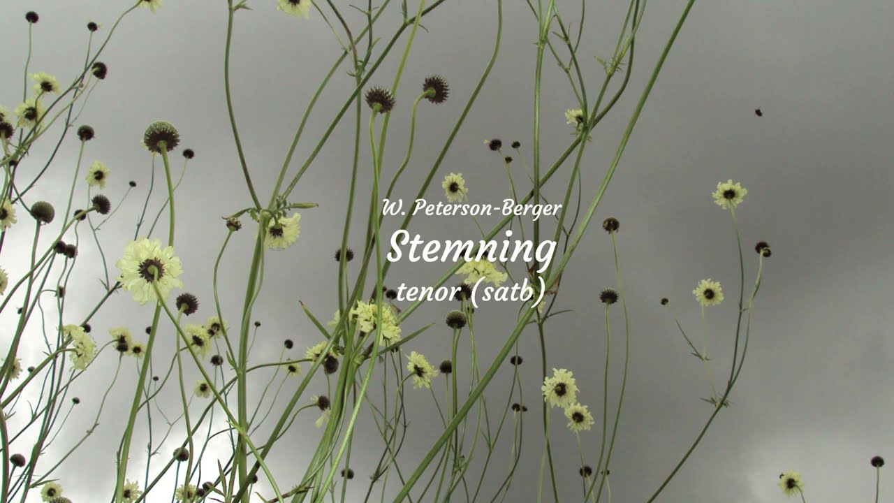 Stemning, W. Peterson-Berger, tenor (satb), rehearsal track