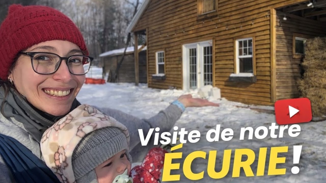 À QUOI RESSEMBLE NOTRE ÉCURIE EN HIVER 🥶🐎❄️#cheval #ecurie #farmlife #tour 