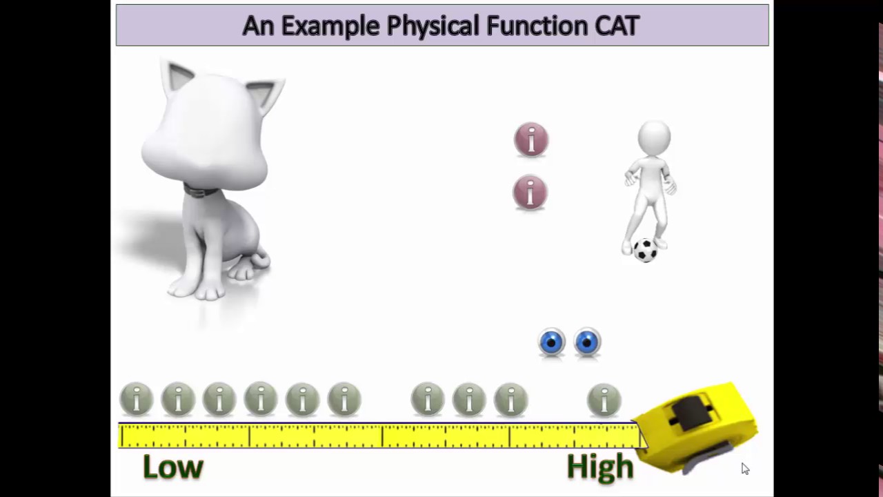 What is a CAT?
