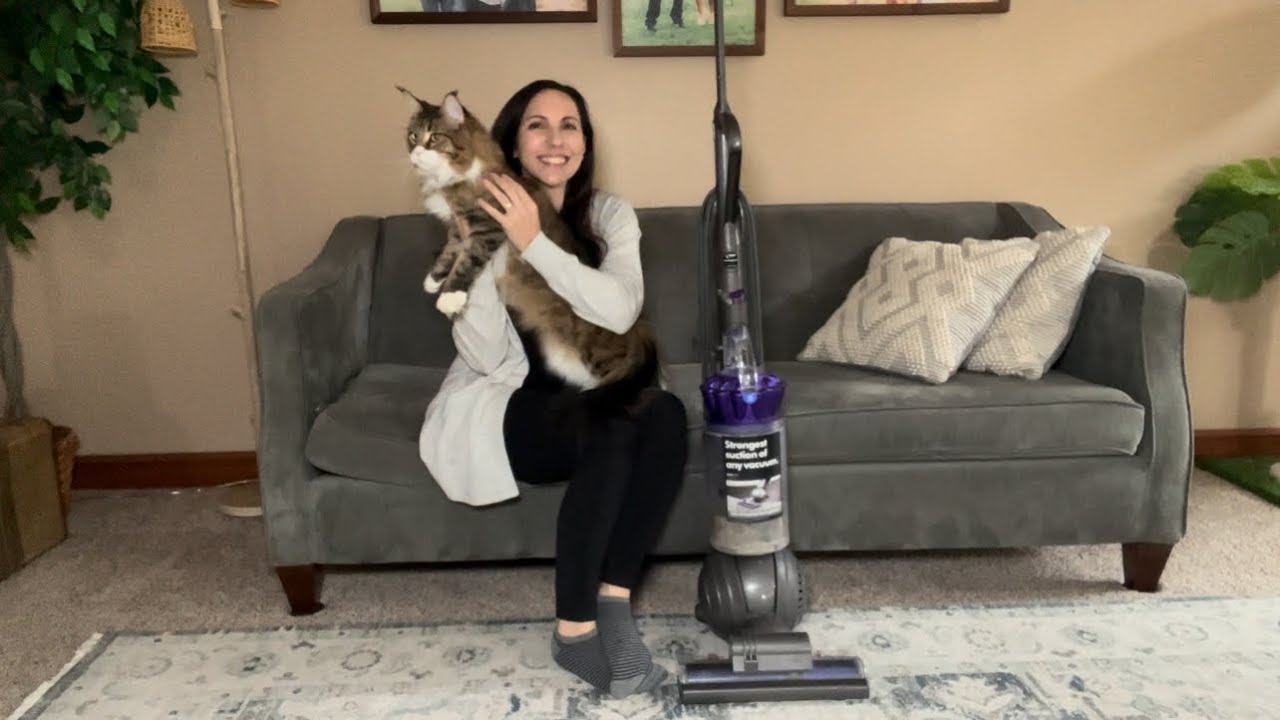 HONEST REVIEW - Dyson Ball Animal 2 - from a GIANT FURBALL owner 2 years later