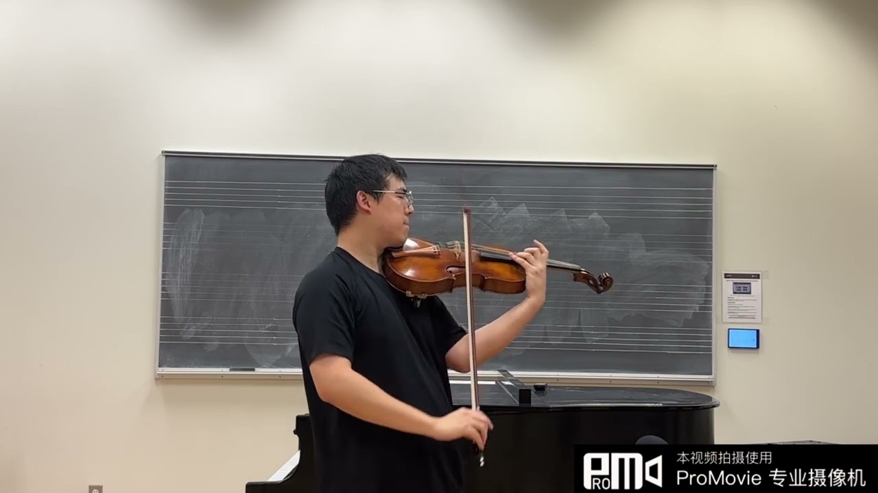 Bartok Viola Concerto 1st movement