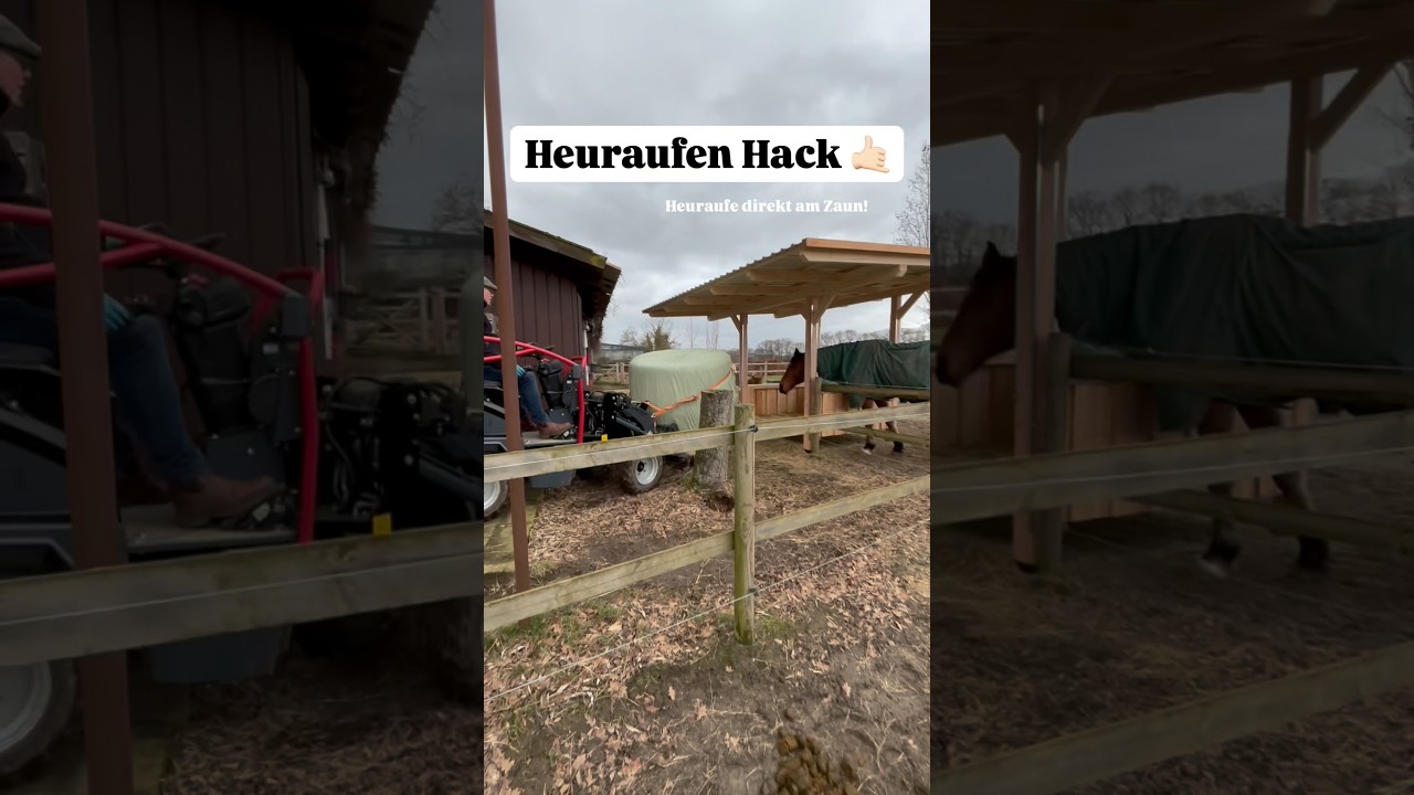 Heuraufen Hack 🤙🏻 heuraufe von Holzsteinkreativ (werbung auf insta) #pferdeamhaus #pferde