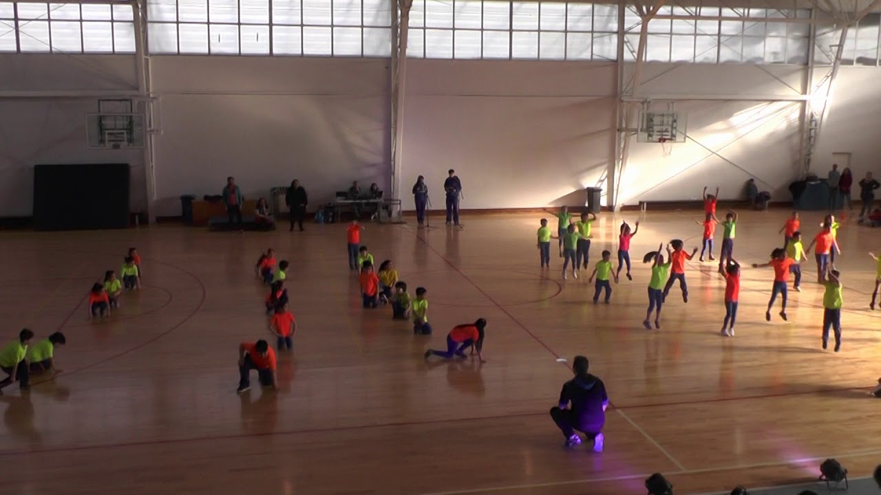 1º Básico Muestra educación física 2019