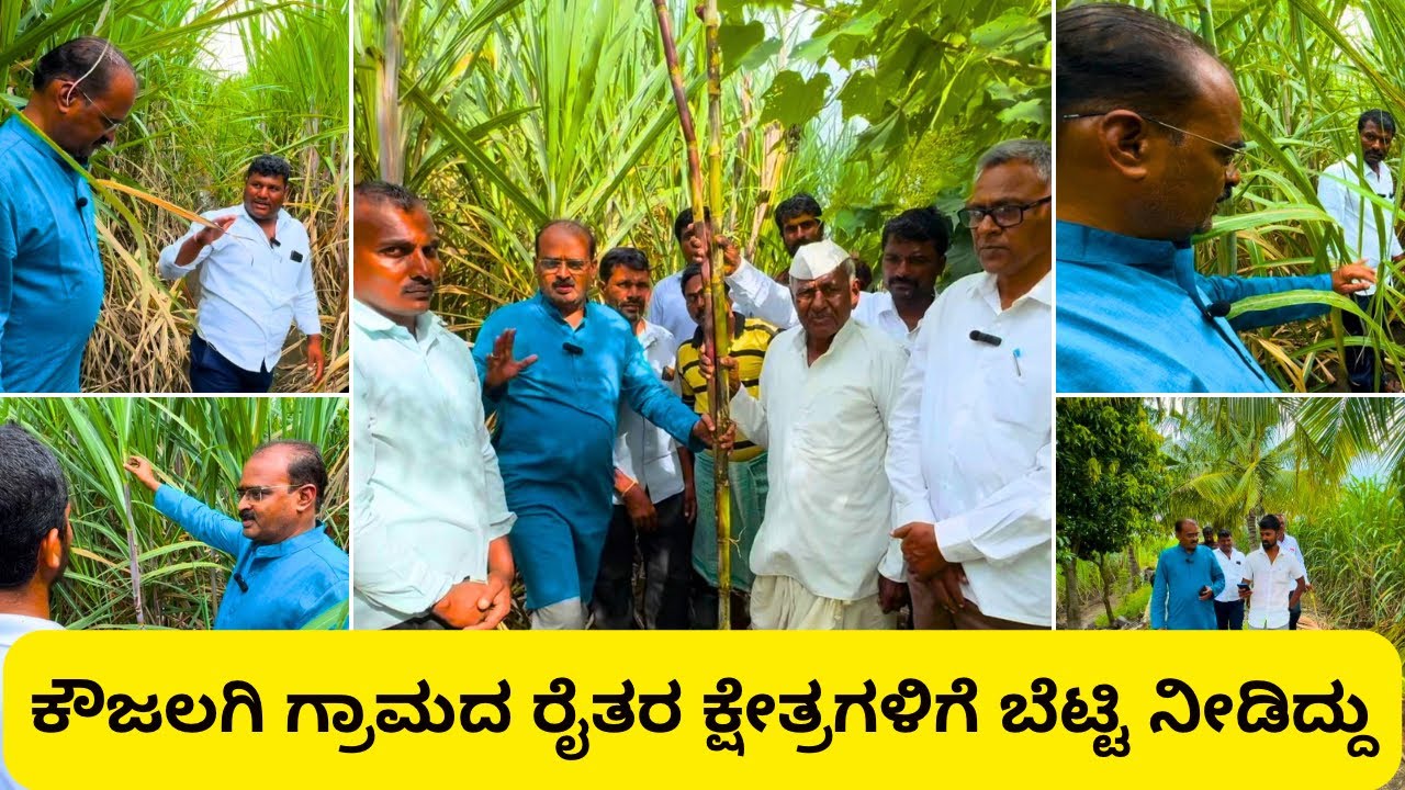 ಕೌಜಲಗಿ ಗ್ರಾಮದ ರೈತರ ಕ್ಷೇತ್ರಗಳಿಗೆ ಬೆಟ್ಟಿ ನೀಡಿದ್ದು