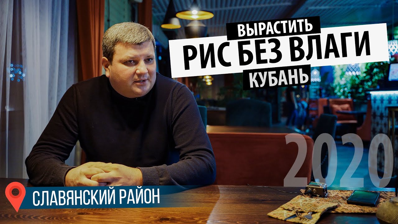 Как вырастить рис без влаги на Кубани. Монолог фермера