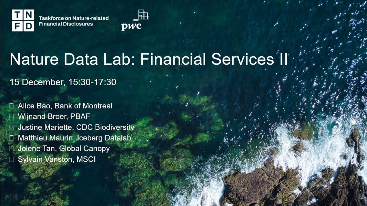 Nature Data Lab: Financial Services