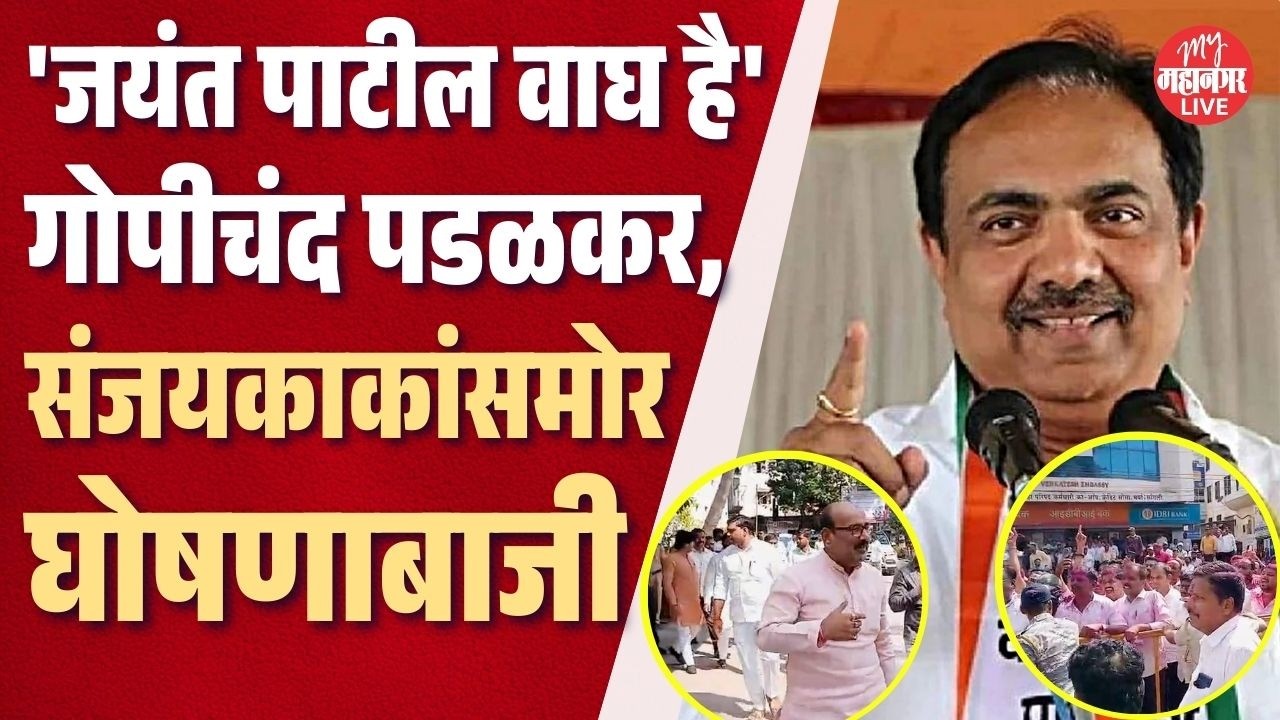 सांगली जिल्हा परिषदेवर राष्ट्रवादीची सत्ता, पडळकर अन् पाटलांचे कार्यकर्ते आमने-सामने