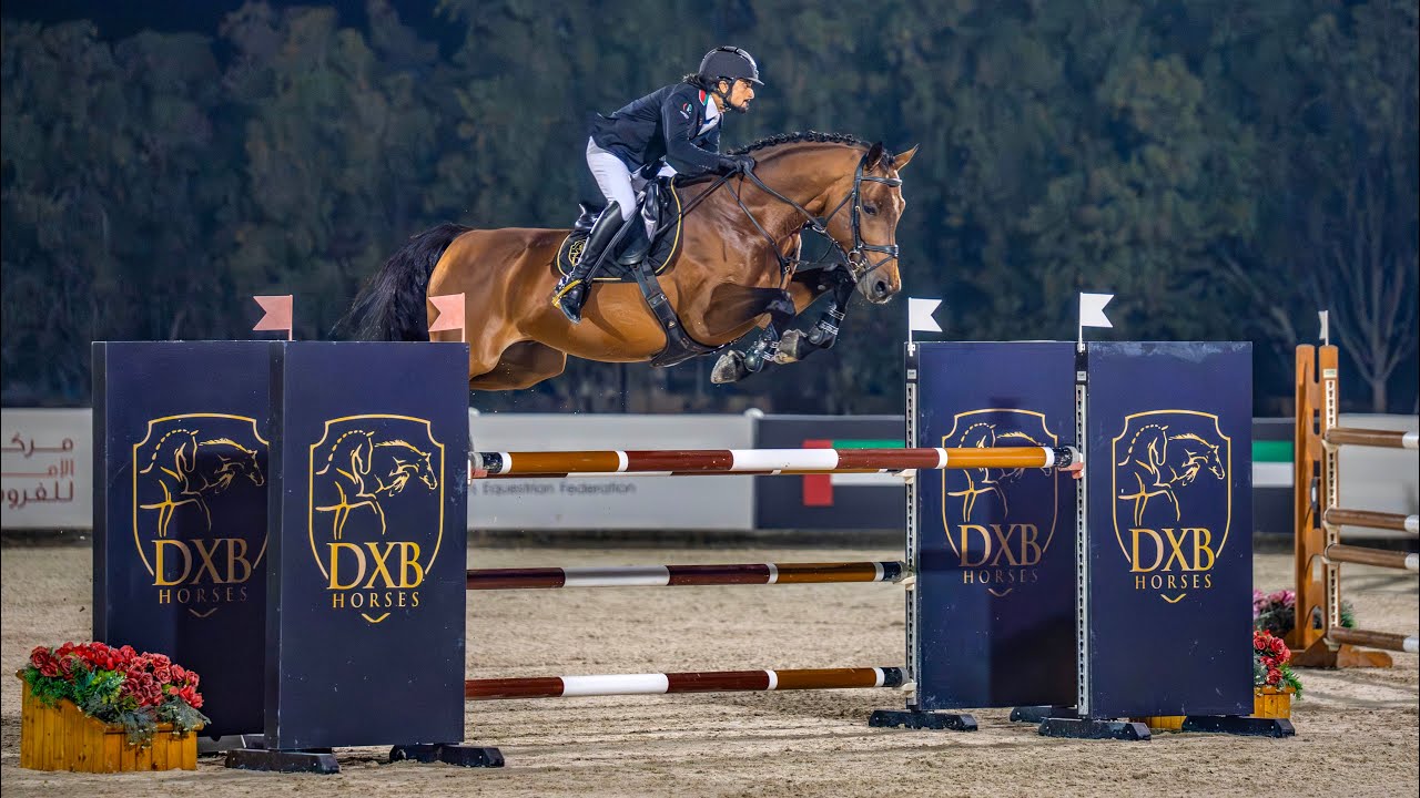 Galb DXB (Cornet Obolensky x Cassini I) Top clear round in the big tour final of Dubai 1st Day!! 🔥🚀