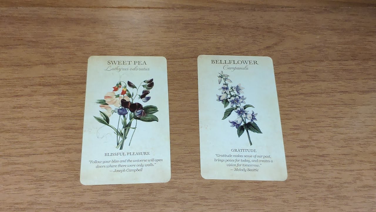 Τι έκπληξη σας περιμένει 🤩 Διαλέξτε κάρτα. #tarot #ταρω