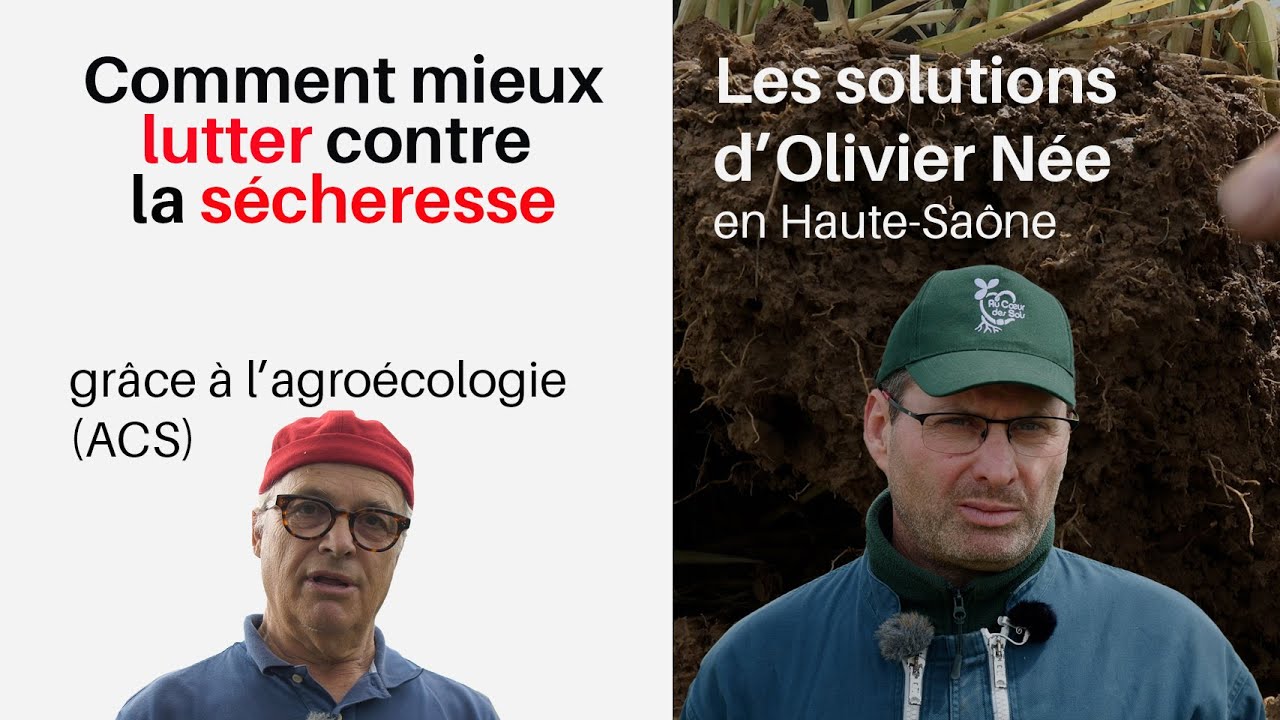 N°10 - Comment mieux lutter contre la sécheresse