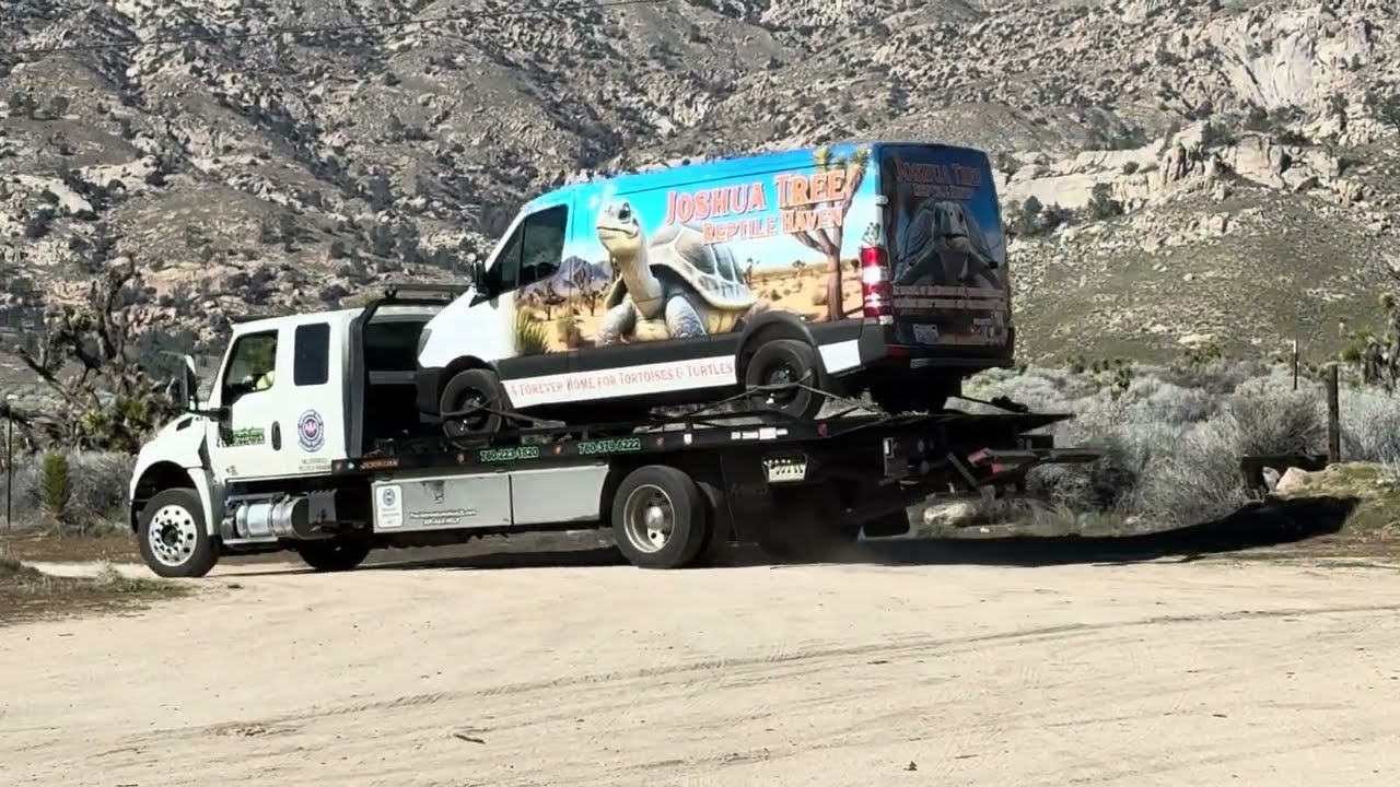 Van Update What’s Really Happening With Our Mercedes Sprinter #mercedes #joshuatreereptilehaven