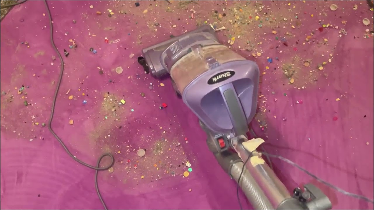 PURPLE SHARK DO DO DA DO DA DO VACUUM ASMR