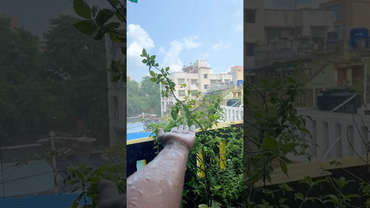 #rainlovestatus #lonelinesstostrength #summervibe #summerlunch