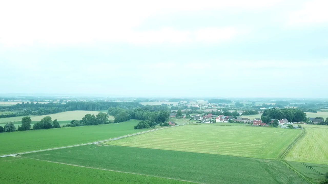 Lieme 2019 Juni