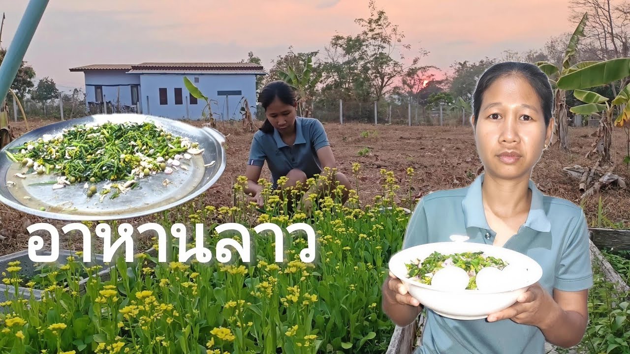 ทำก้อยผักรวม 🇱🇦