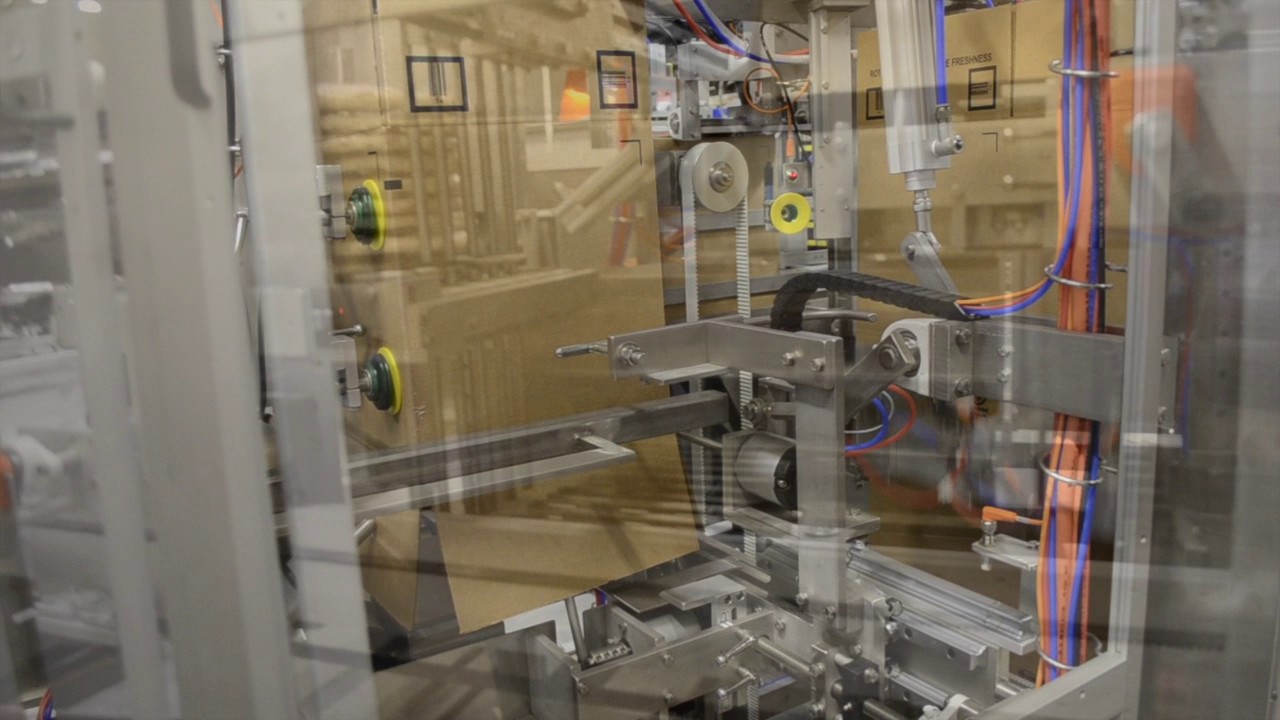Bottom Load Case Packer for Frozen Pizza | Massman Automation